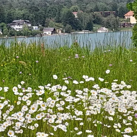 Glanz Und Gloria Velden! Woerthersee In 5 Min Zu Fuss Erreichbar! Apartmán *